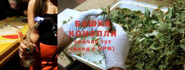 стафф Данков