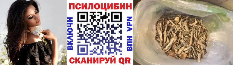 Псилоцибиновые грибы Psilocybe  Колпашево 
